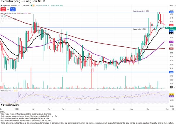 TradeVille: Agroserv Măriuţa dă semne de revenire